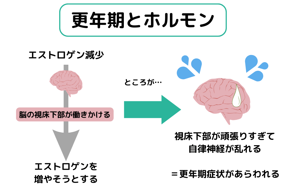 自律神経に影響をおよぼす