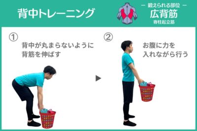 背中トレーニング〜洗濯カゴを筋トレの道具にしよう〜