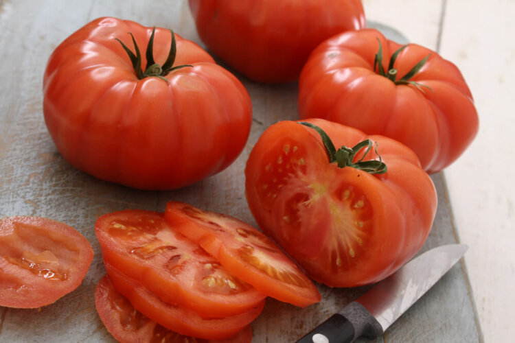 トマトの栄養と効能はやはりすごい！～加工品についても詳しく解説～
